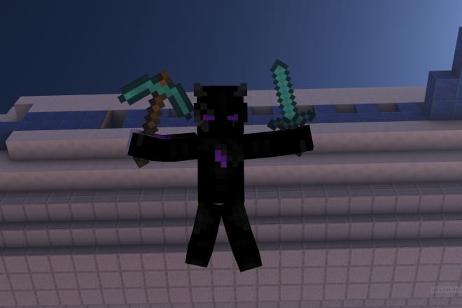 I will make you a custom minecraft skin