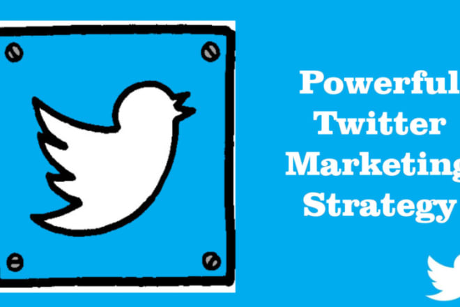 I will manage twitter marketing and promotion for organic growth