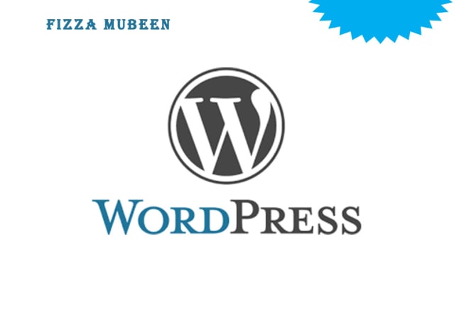 I will modify, add plugins in your wordpress, provide web services