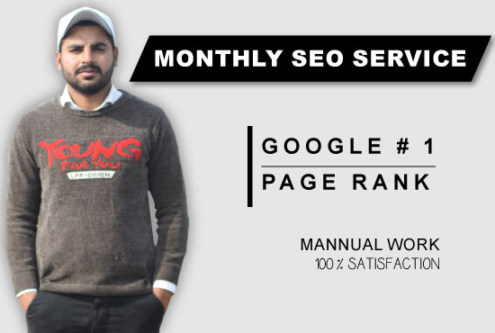 I will monthly SEO service for google top ranking