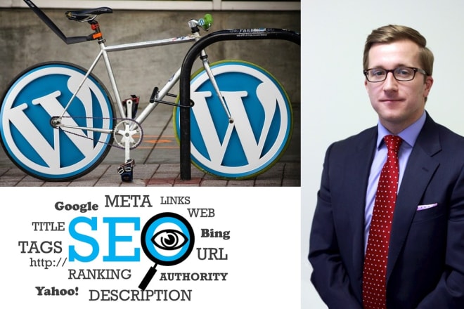 I will offer the best on page SEO service for wordpress