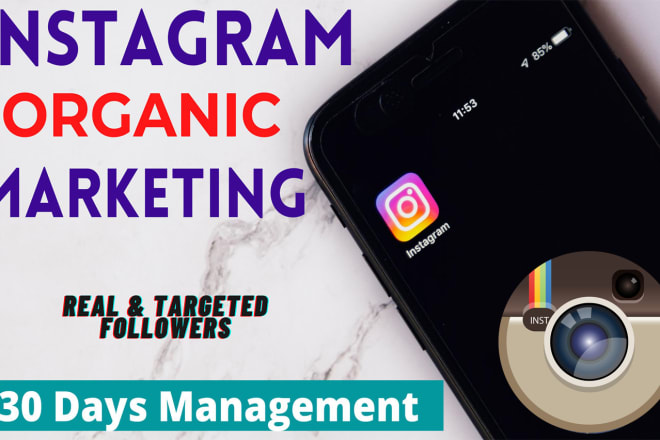 I will organically grow and marketing your instagram account