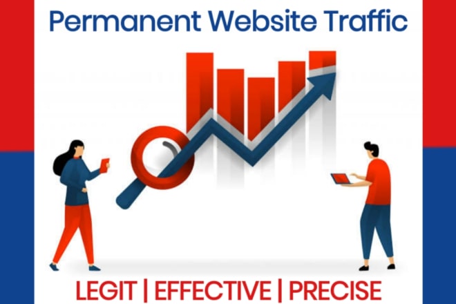 I will permanent website traffic at cheap rate