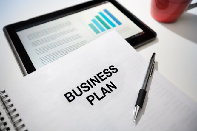 I will prepare perfect business plan and financial projections