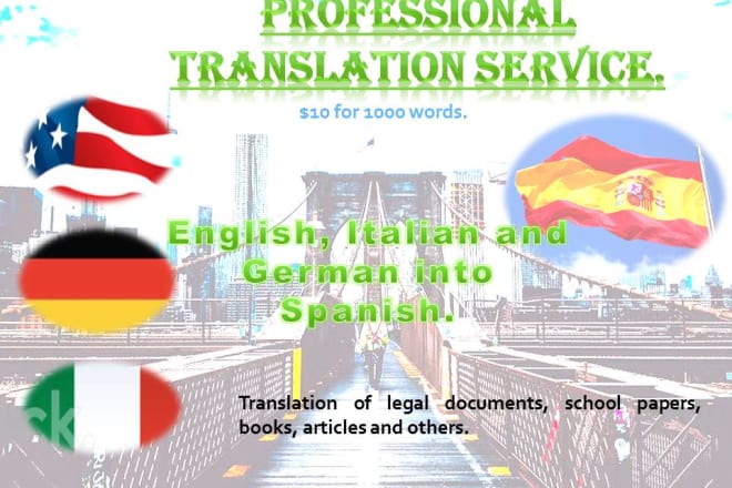 I will professional spanish translation service