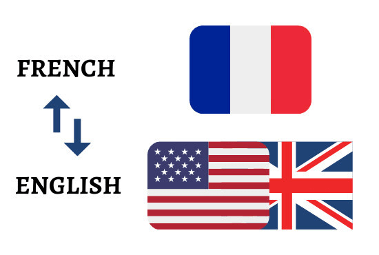 I will professionally translate english to french and french to english book