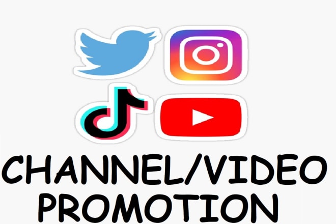 I will promote and grow your followers on youtube,instagram, twitter, tiktok