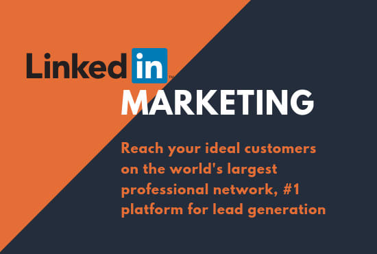 I will promote your business with linkedin ads