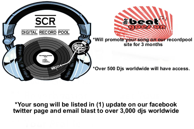 I will promote your song on record pool website