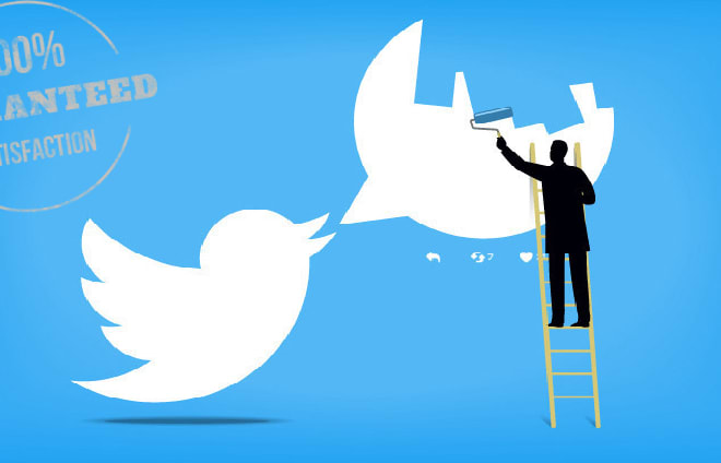 I will promote your twitter account and increase engagement