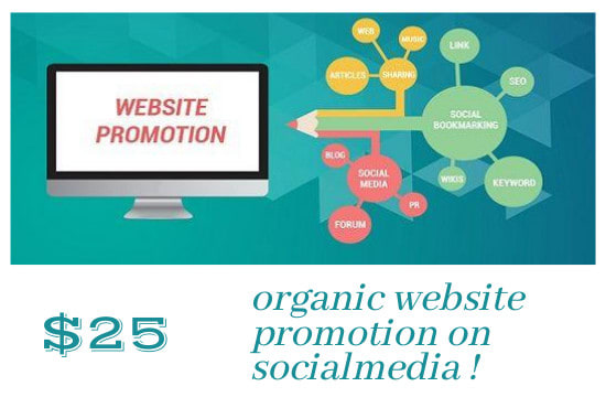 I will promote your website on social media to increase traffic