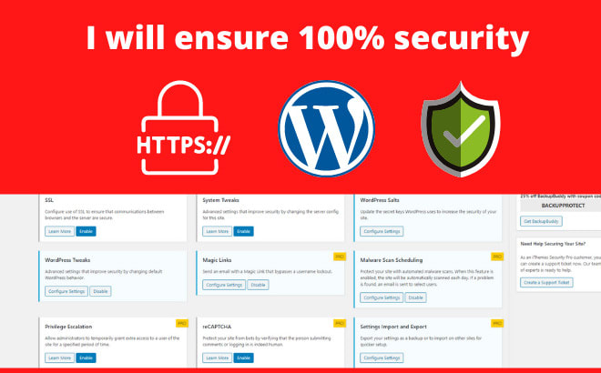 I will protect wordpress website security from malware and ensure you