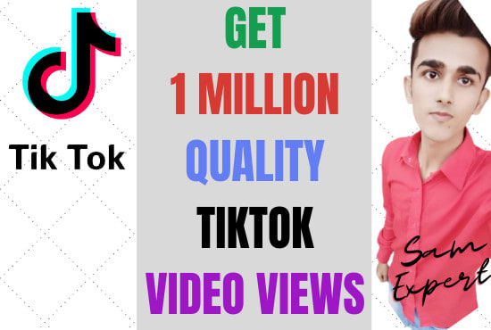 I will provide 1 million quality video views on tik tok to go viral