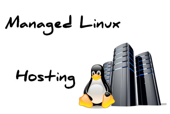 I will provide a fully managed hosting service