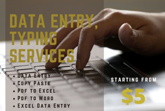 I will provide accurate data entry and typing services for you