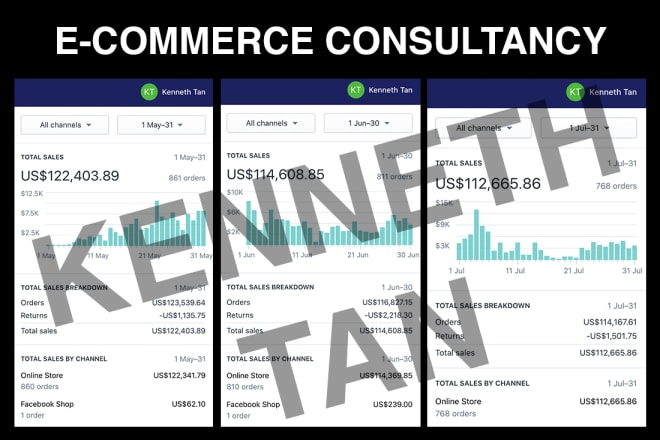 I will provide consultancy audit for your online, shopify ecommerce or dropship store