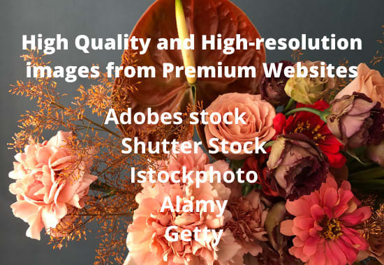 I will provide HD quality, high res images from stock, getty and other premium sites