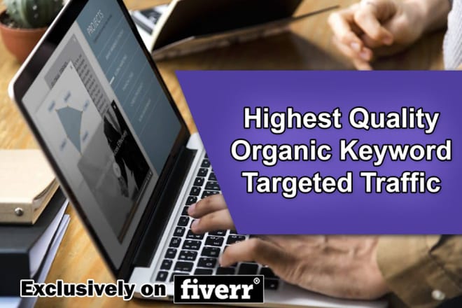 I will provide highest quality organic keyword targeted traffic