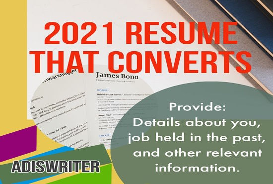 I will provide professional and executive resume writing services