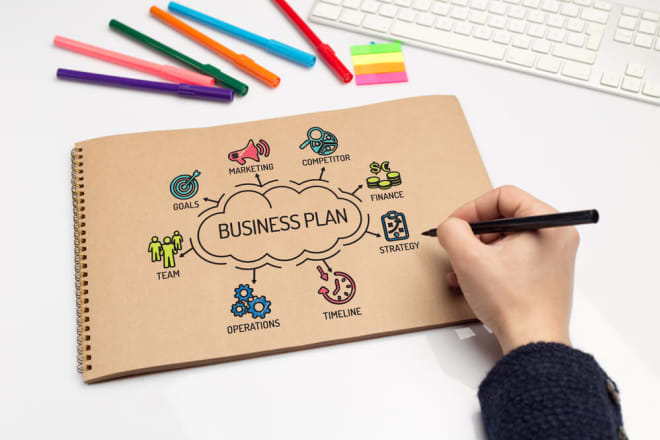 I will provide professional business plan writing services