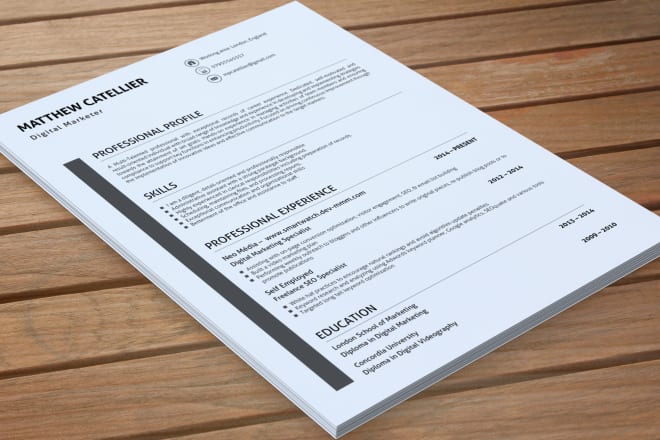 I will provide professional resume and cover letter writing services