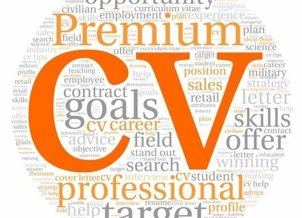 I will provide professional resume CV cover letter writing services