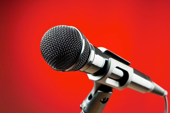 I will provide professional speech writing services