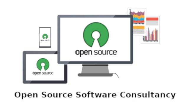 I will provide software consultancy services