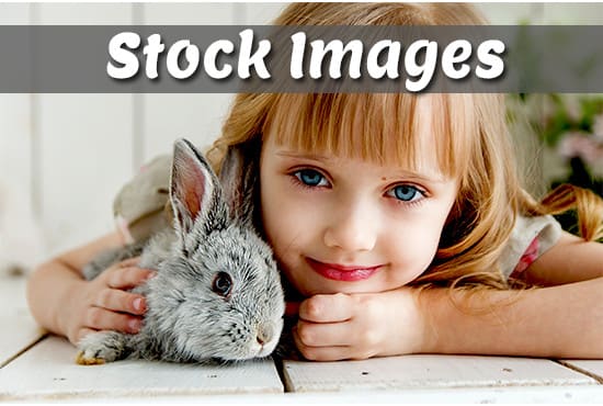 I will provide stunning royalty free stock images on your choice