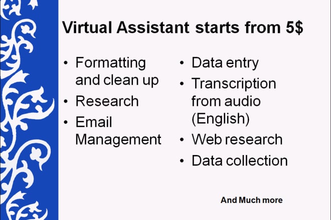 I will provide virtual assistant service