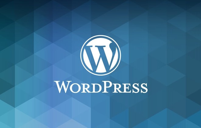 I will provide wordpress support and troubleshooting