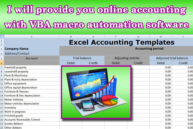 I will provide you online accounting with vba automation software