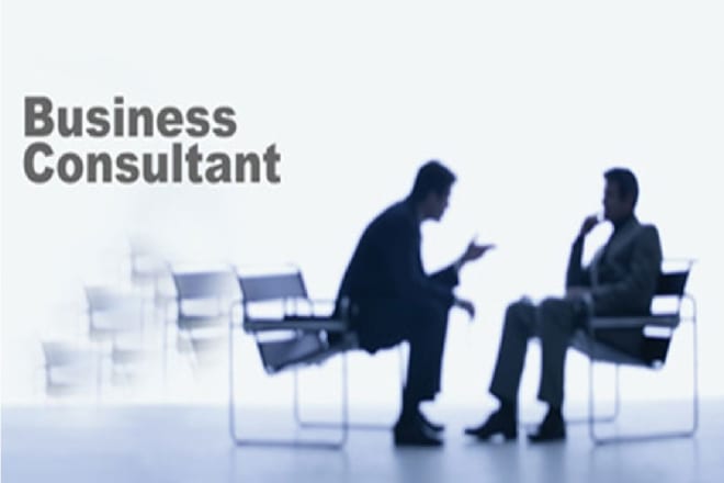 I will provide you with business consulting services