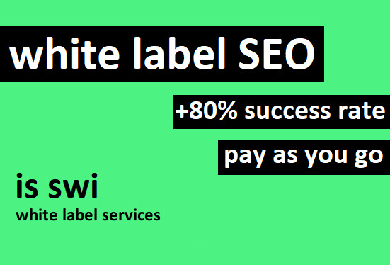 I will provide you with white label SEO