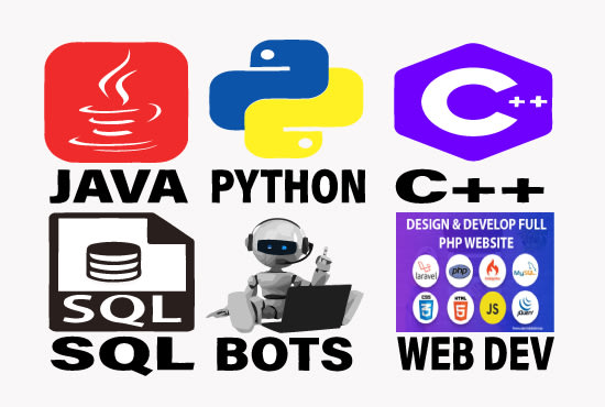 I will python java cpp sql programming webscraping bots automation website developement