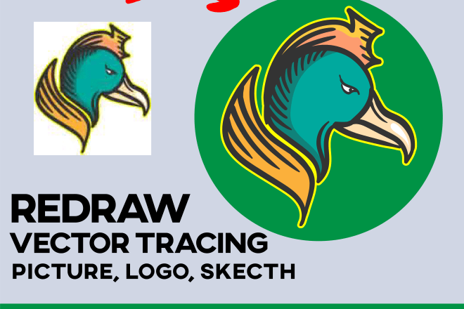 I will redraw or tracing your image jpg, bitmap into vector artwork