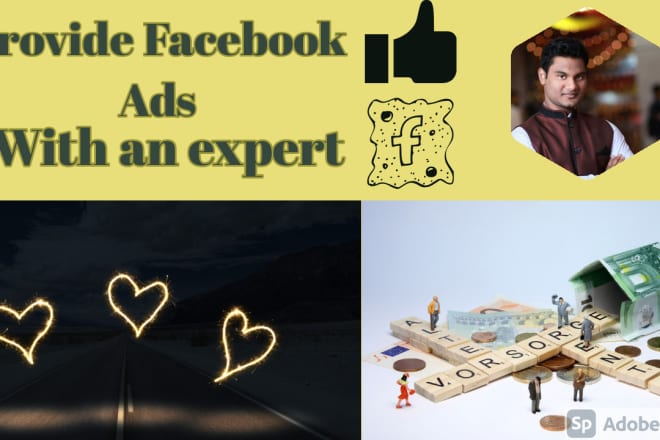 I will run facebook ads campaign for your business page