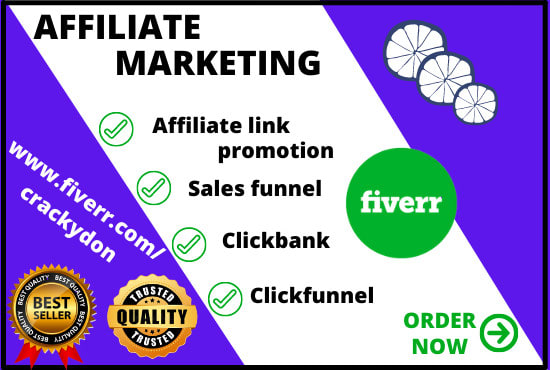 I will sales funnel,affiliate link promotion,clickbank affiliate website, clickfunnels