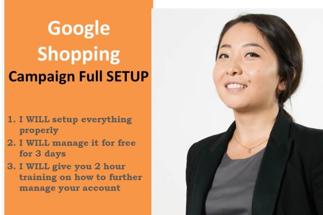 I will set up google shopping product listing ads