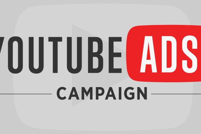I will set up your youtube ads for more audience less budget