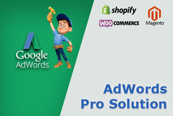 I will setup google adwords search or shopping campaigns