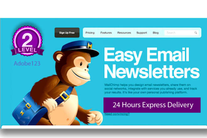 I will setup your mailchimp email template or newsletters