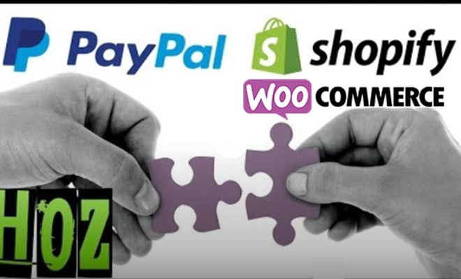 I will setup your paypal and stipe with shopify and wocommerce