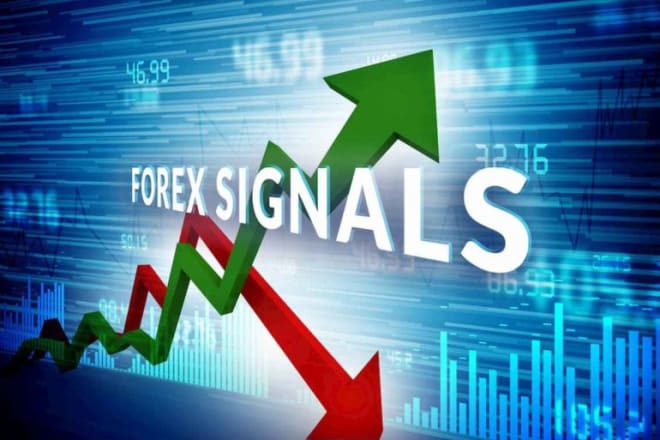 I will signal you when to buy or sell in forex trading