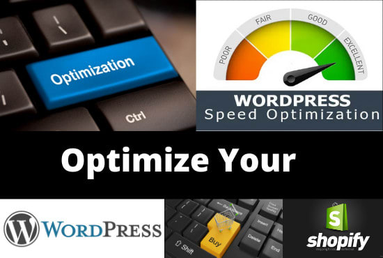 I will speed up and optimize shopify and wordpress website