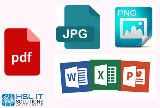 I will transcribe pdf file to word and turn the word to pdf