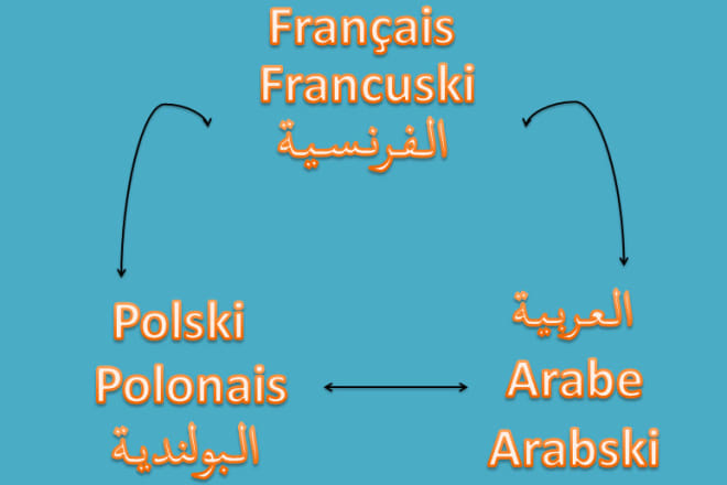 I will translate all kind of texts between english french polish and arabic