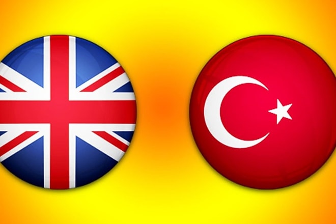 I will translate your all works english turkish or turkish english