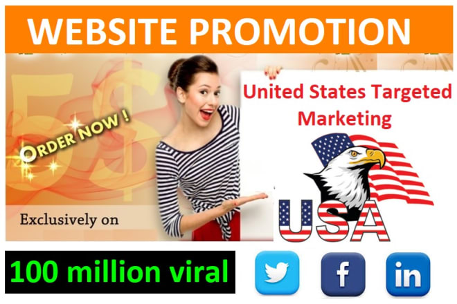 I will usa targeted website, cbd, blog, business link promotion to get web traffic