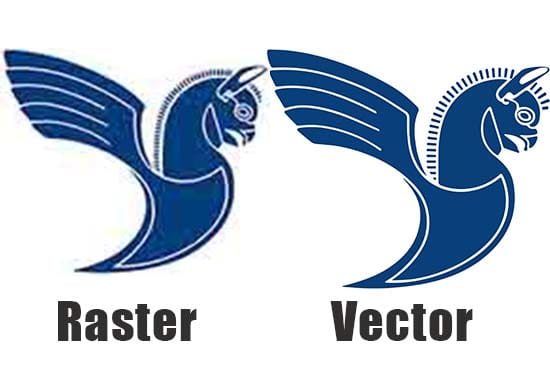 I will vector tracing, convert raster photo to vector photo